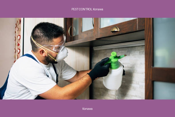 PEST CONTROL Konawa